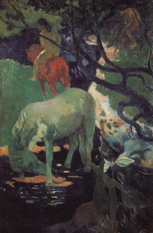Paul Gauguin Whitehorse